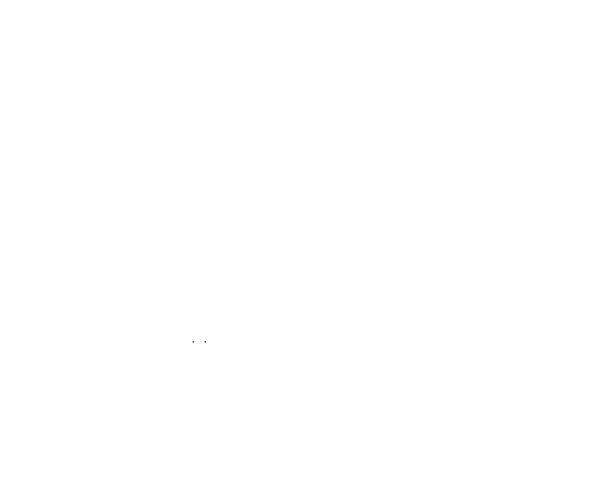 Schönfelder EDV Logo